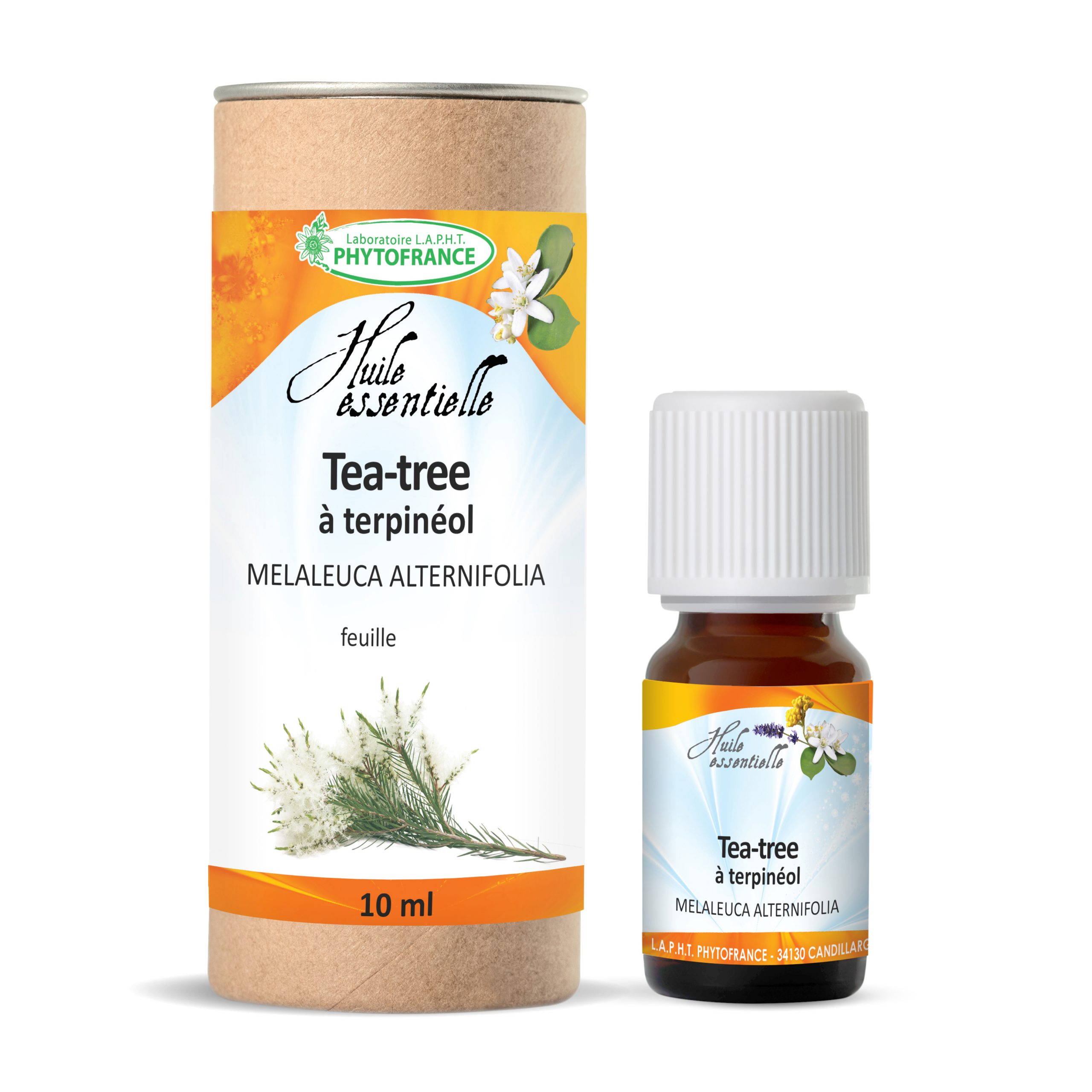 Tea Tree ( Arbre à Thé) Bio ,huile essentielle 100% pure et naturelle