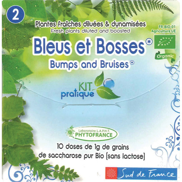 bleus-et-bosses-dosettes-de-plantes