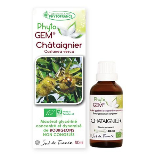 chataignier - phytogem - gemmotherapie - phytofrance