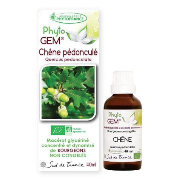 chene pedoncule - phytogem - gemmotherapie - phytofrance