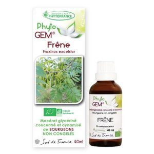 frene - phytogem - gemmotherapie - phytofrance