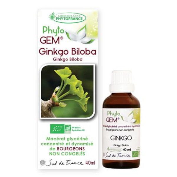 ginkgo - phytogem - gemmotherapie - phytofrance