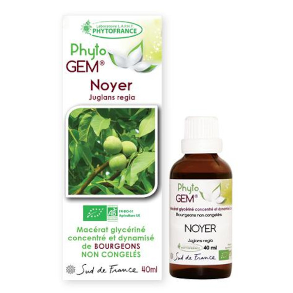 noyer - phytogem - gemmotherapie - phytofrance