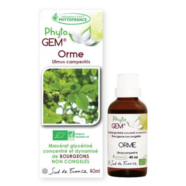 orme - phytogem - gemmotherapie - phytofrance