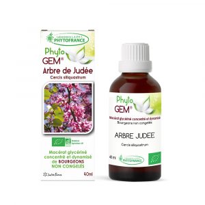 phytogem-gemmotherapie-arbre-judee