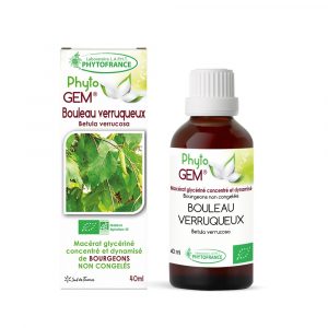 phytogem-gemmotherapie-bouleau-verruqueux