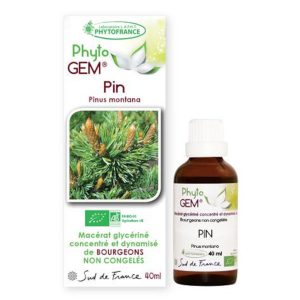 pin - phytogem - gemmotherapie - phytofrance