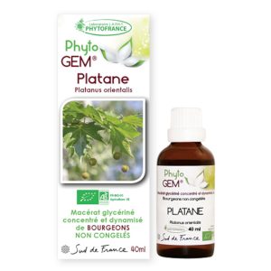 platane-gemmotherapie-phytogem-phytofrance