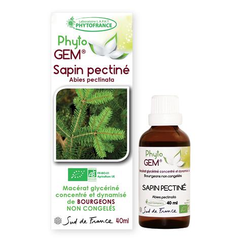 sapin pectiné - phytogem - gemmotherapie - phytofrance