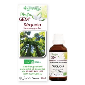 sequoia-gemmotherapie-phytogem-phytofrance