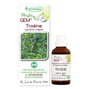 troene-gemmotherapie-phytogem-phytofrance