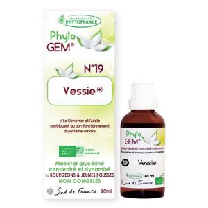 vessie - phytogem - gemmotherapie - phytofrance