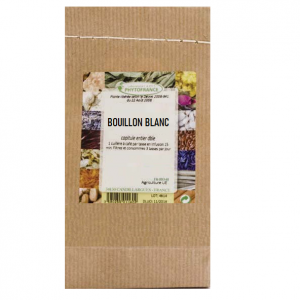 plante-simple-bouillon-blanc
