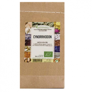 plante-cynorrhodon-bio