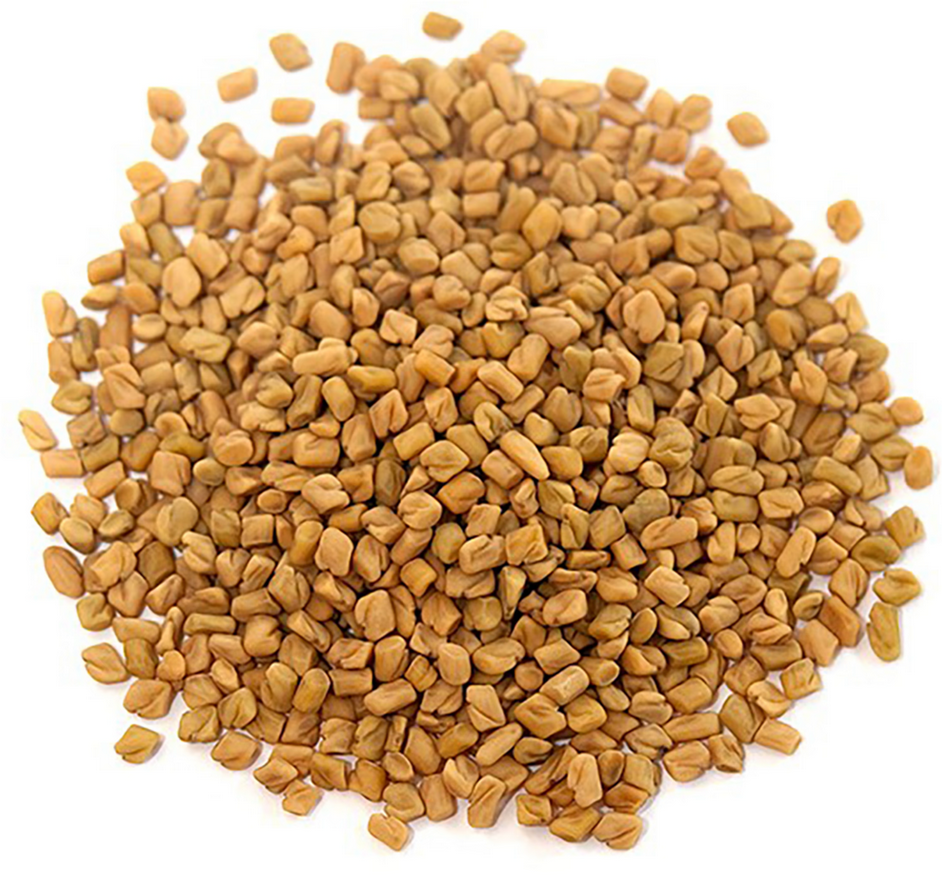 Graines & semences organiques