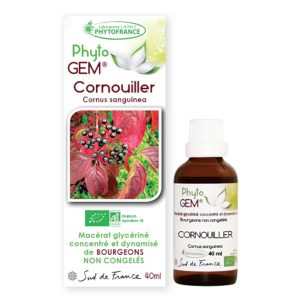 cornouiller-gemmotherapie-phytogem-phytofrance