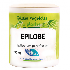 epilobe-gelules-vegetales