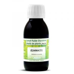 EFGM-phytofrance-echinacee