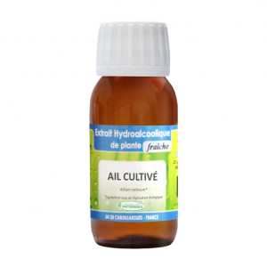 extrait-hydroalcoolique-ail-cultive