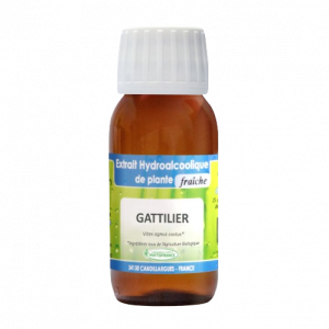 extrait-hydroalcoolique-gattilier