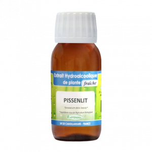 extrait-hydroalcoolique-pissenlit
