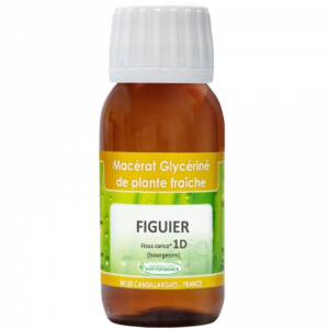macerat-glycerine-1D-figuier