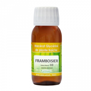 macerat-glycerine-1D-framboisier