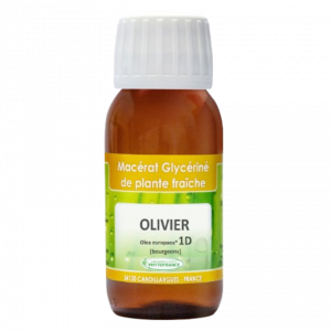 macerat-glycerine-1D-olivier