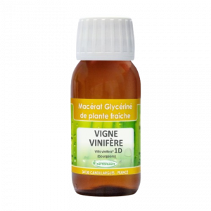 macerat-glycerine-1D-vigne-vinifere