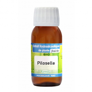 piloselle-teinture-mere-bio