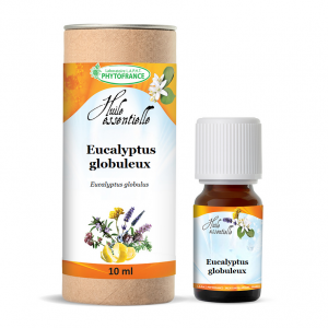 huile-essentielle-eucalyptus-globuleux