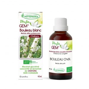 bouleau-blanc-chatons-gemmotherapie