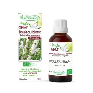 bouleau-blanc-radicelles-gemmotherapie