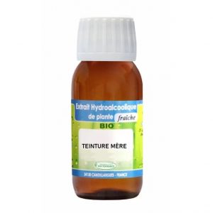 Teinture mère